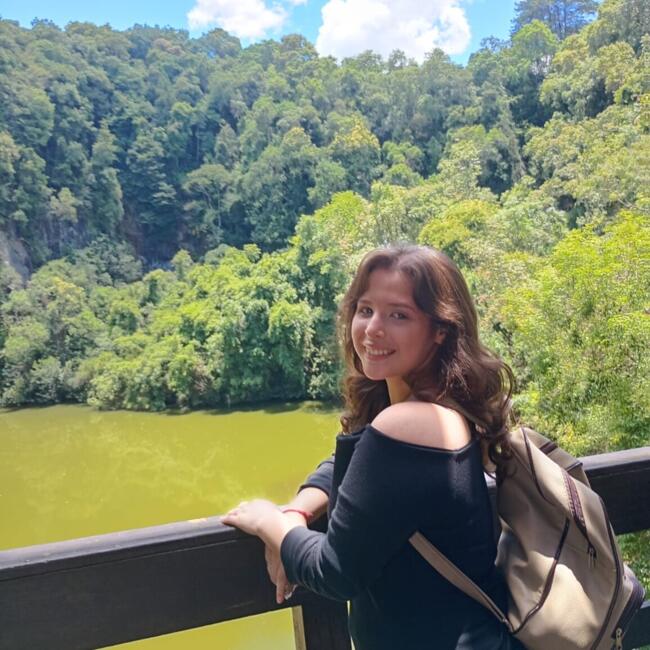 Babysitter in Almirante Tamandaré: Anna leticia