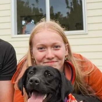 Babysitter in Kerikeri: Brylee