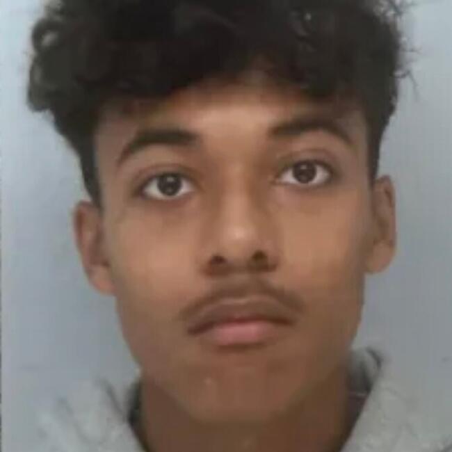 Babysitter in Fargues-Saint-Hilaire: Sydney