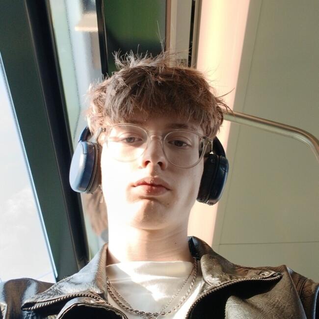 Babysitter in Nantes: Stanislas