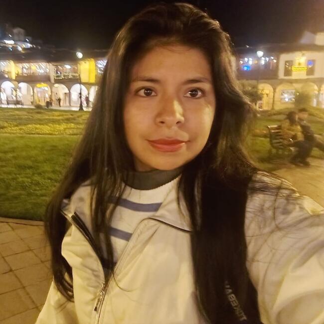 Babysitter in Chincha Alta: Jossy