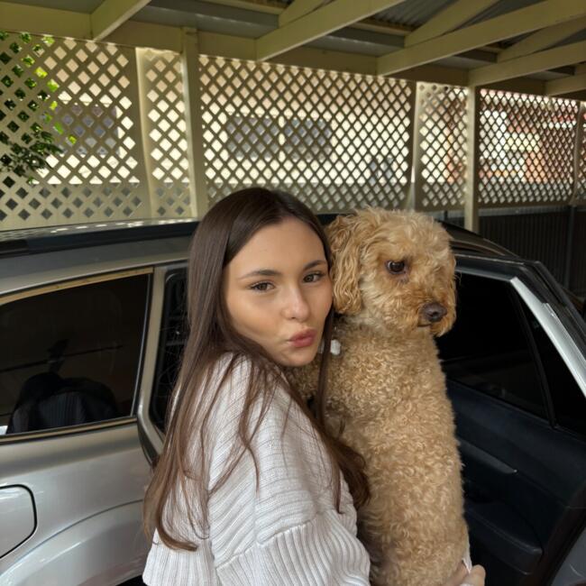 Babysitter in Adelaide: Alyssa