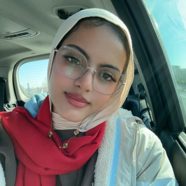 Babysitter in Sommacampagna: Wissal