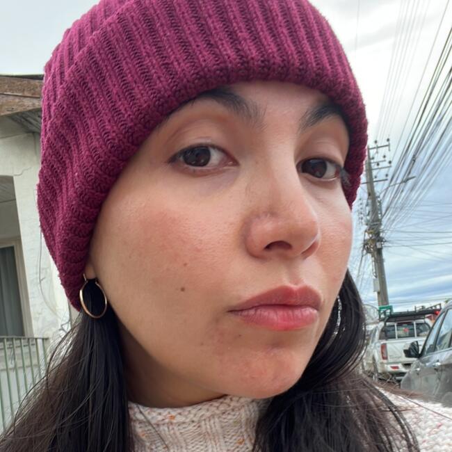 Babysitting job in Puerto Aisén: Nataly