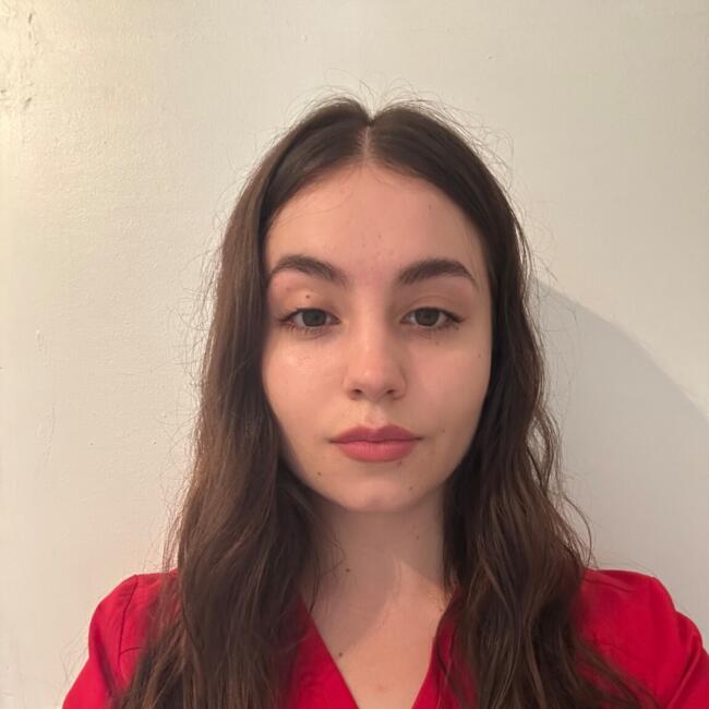 Niñera en Santiago de Chile: Valentina