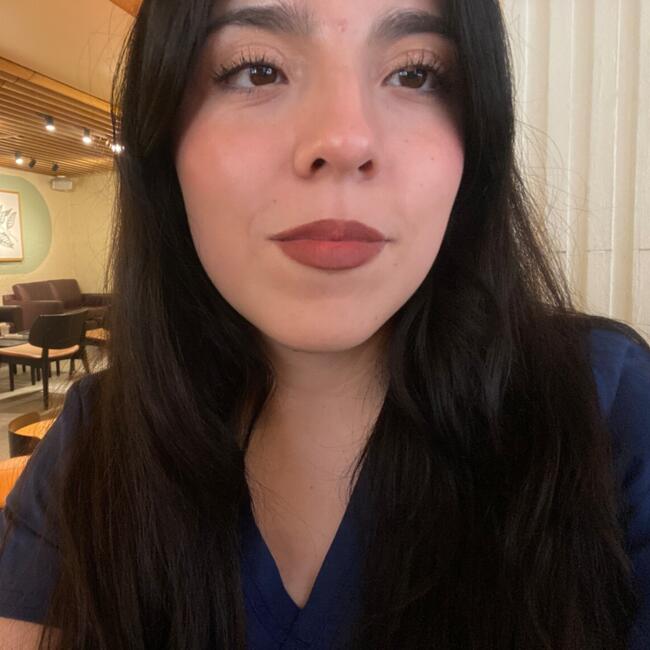 Niñera en Renca: Paulina