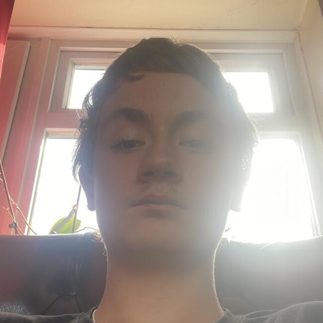 Babysitting job in Crawley: Max