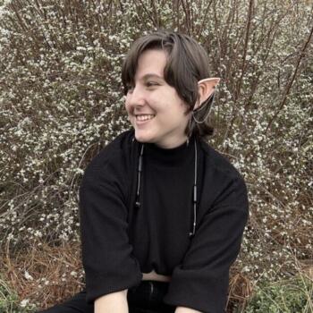 Babysitter in Madison (Alabama): Sarah