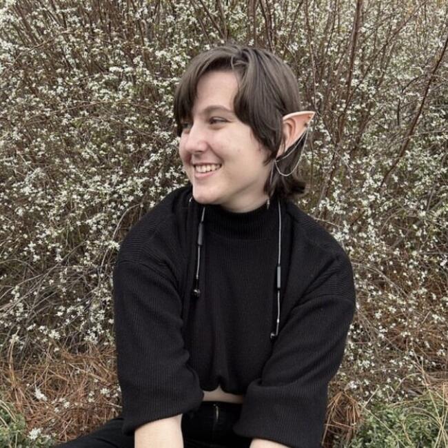 Babysitter in Madison (Alabama): Sarah