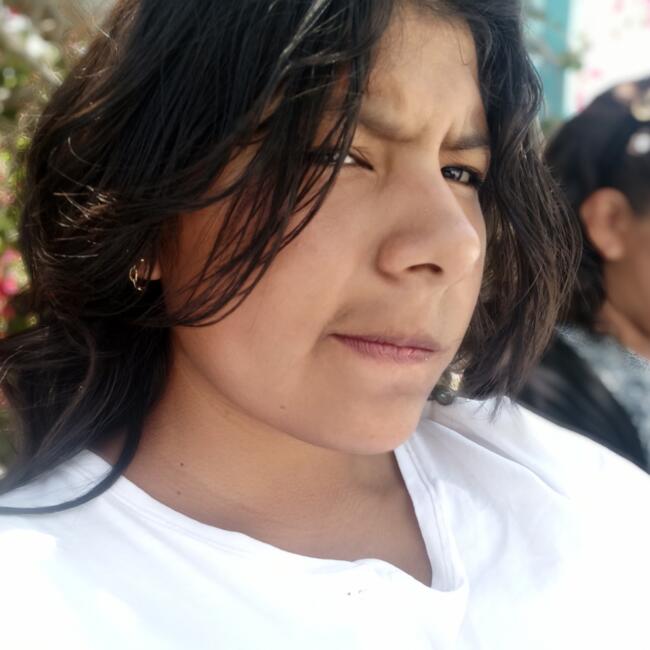 Babysitter in Arequipa: Anelyn