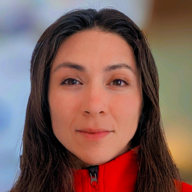 Babysitter in Santiago: Gisselle