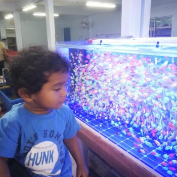 Babysitting job in Batu Caves: babysitting job Philip