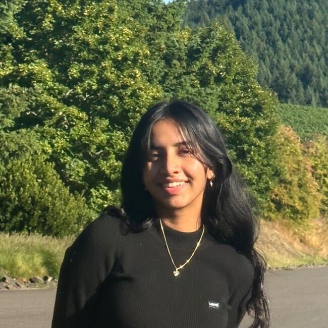 Babysitter in Leixlip: Ishita