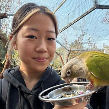 Babysitter in Sydney: Vanessa