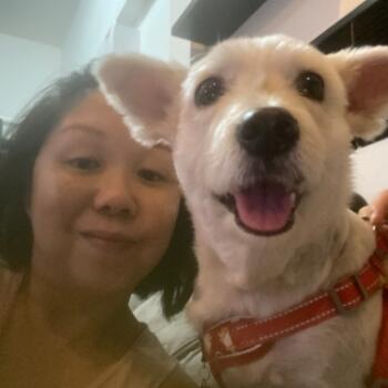 位於大圍 的臨時保母: Rena