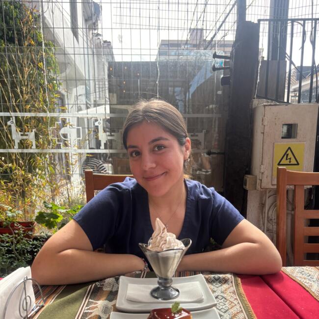 Babysitter in Viña del Mar: Martina