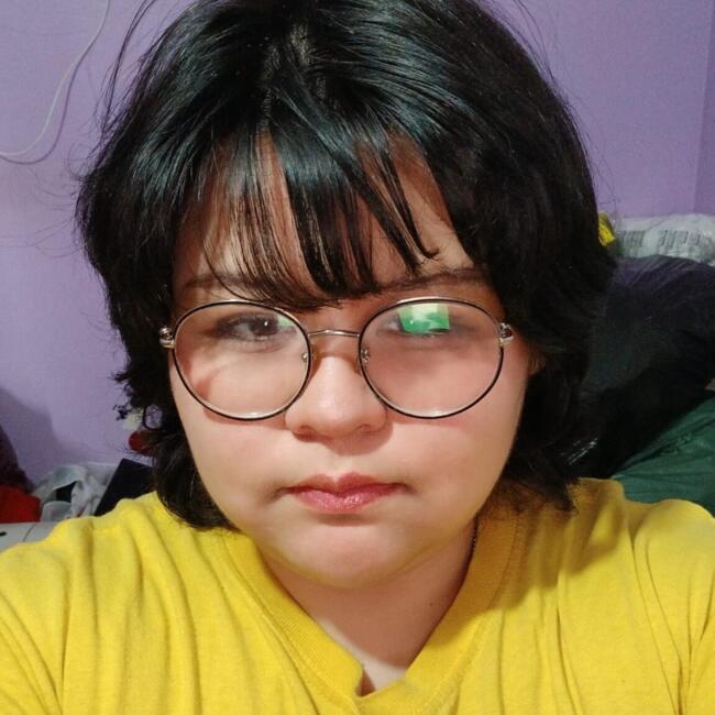 Babysitter in Port Montt: Camila