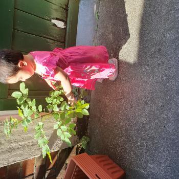 Babysitter in Manchester: Sobia