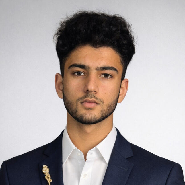 Babysitter in Auckland: Arman