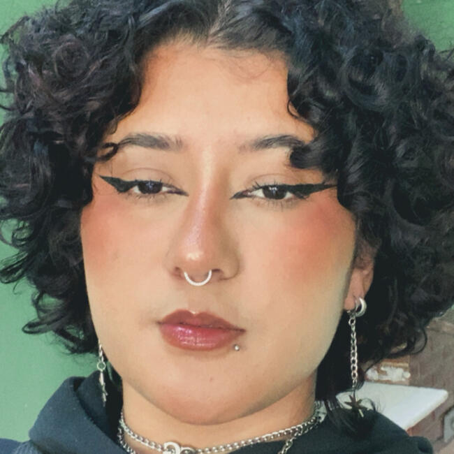 Babysitter in São Paulo (São Paulo): Camila