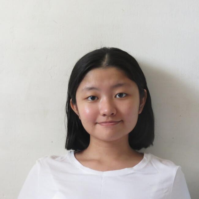 Babysitter in Farnborough: Niwa