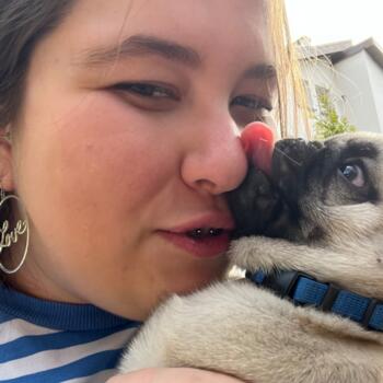 Opiekunka do dziecka w Łódź: Nikola