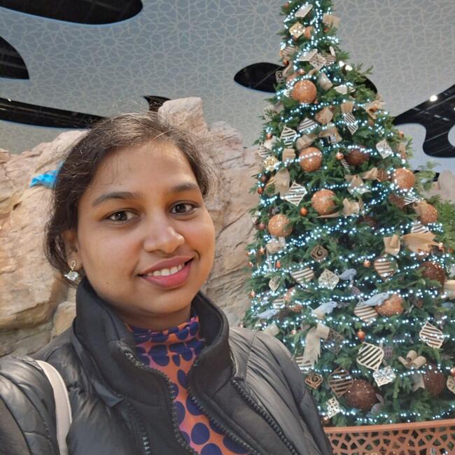 Babysitter in Ballyboden: Monisha Som