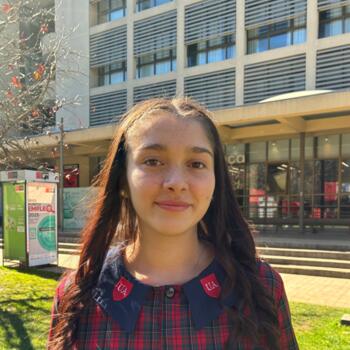 Babysitter in Temuco: Katalina