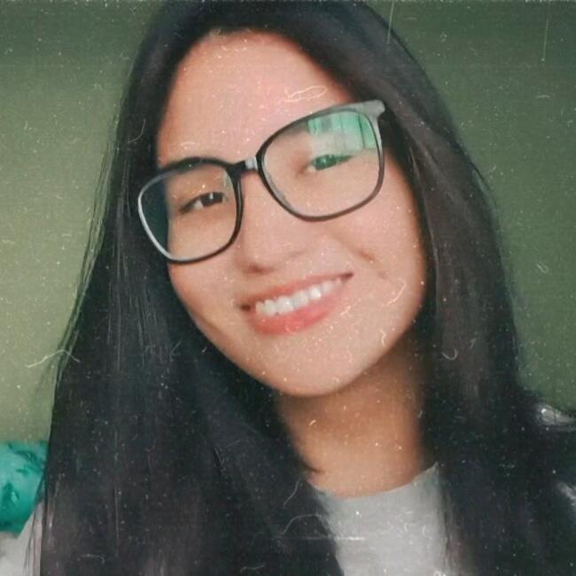 Babysitter in Temuco: Camila Balboa