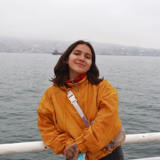 Babysitter in Puente Alto: Catalina