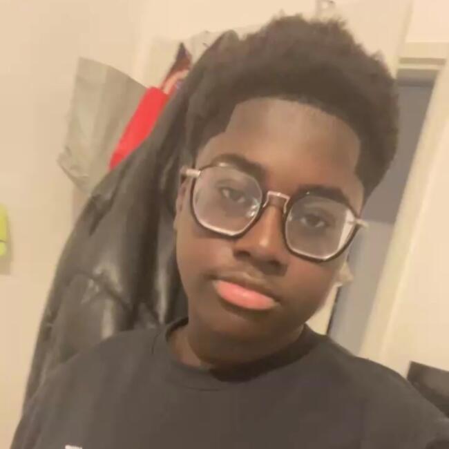 Babysitter in Poissy: Harry