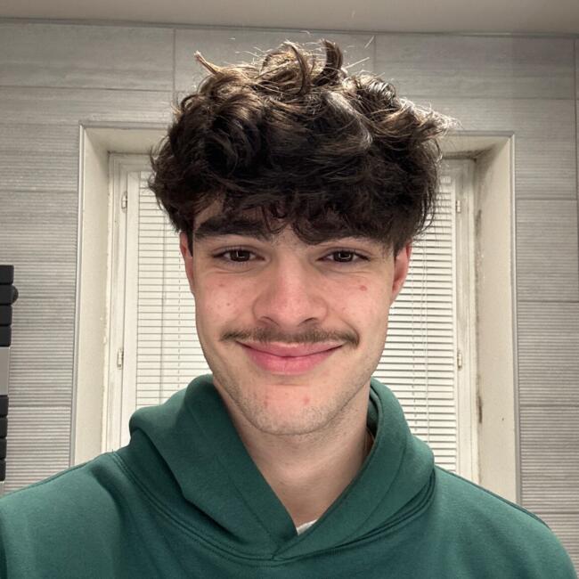 Babysitter in Combs-la-Ville: Adam