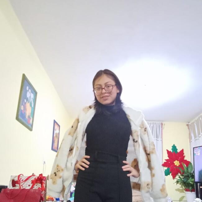 Babysitter in Miguel Hidalgo: Rebeca