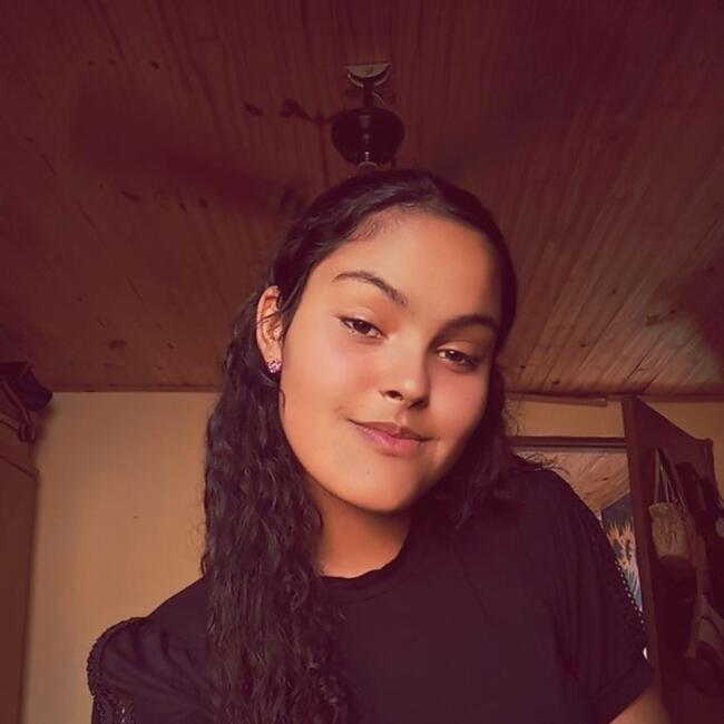 Babysitter in Indiana: Jussara Gomes mativi