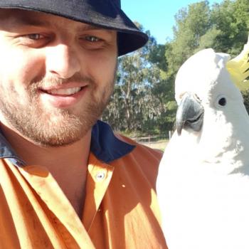 Babysitting job Geelong: babysitting job Jamie