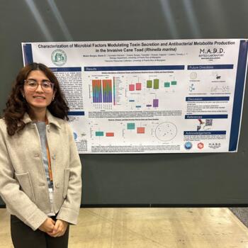 Babysitter in Carolina: Alanis