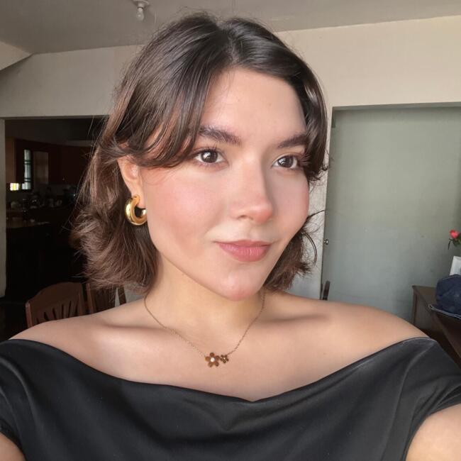 Babysitter in Monterrey: Pamela