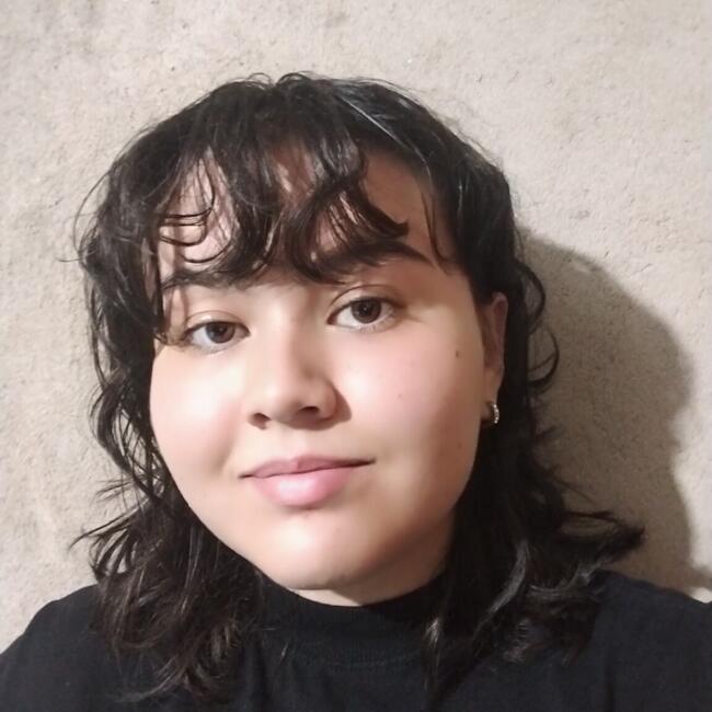 Babysitter in Campo Grande: Ana Karlla