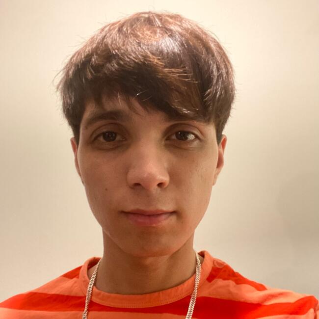 Niñera en Santiago de Chile: Sebastián