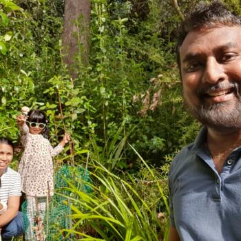 Babysitting job in Rolleston: babysitting job Chathura