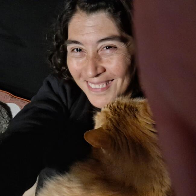 Niñera en Santiago de Chile: Irene