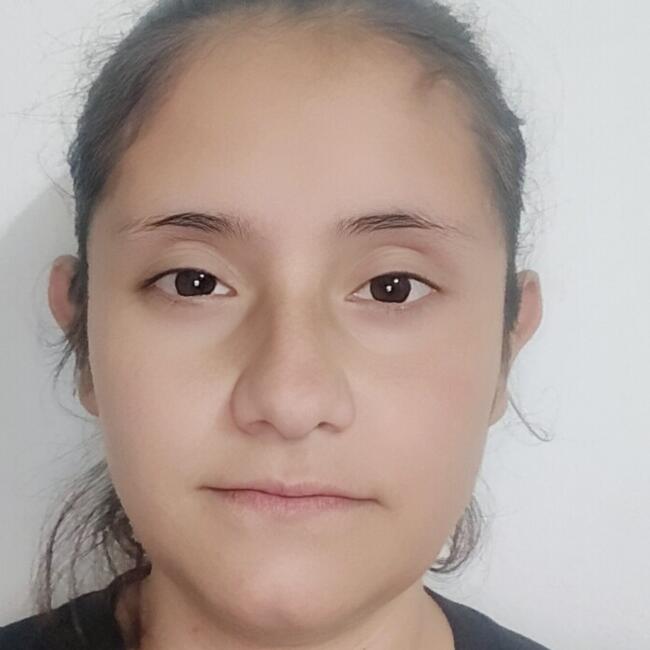 Niñera en Bogotá: Zuly Michel