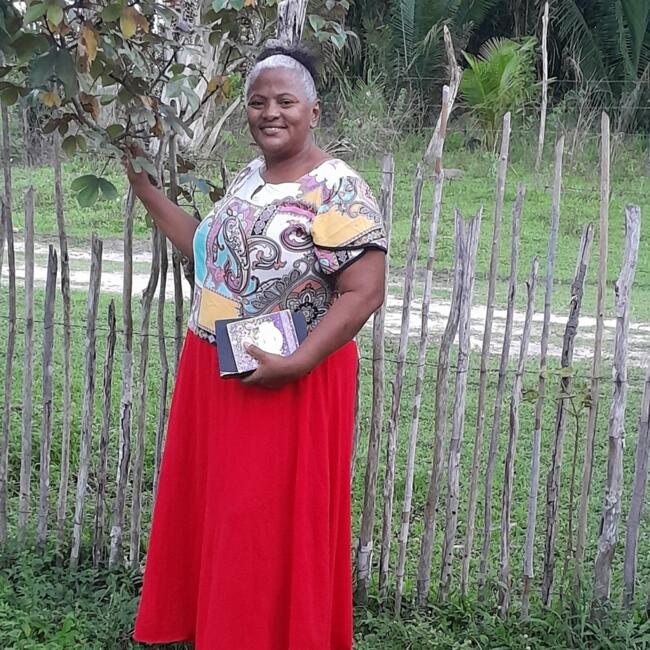 Babysitter in São Luís: Edilene araujo do nascimento