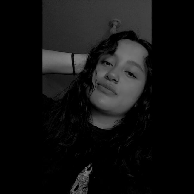 Babysitter in Ambato: Michelle