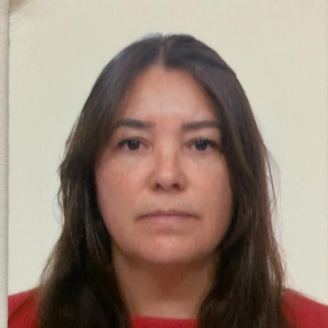 Babysitter in Alicante: Francirlene