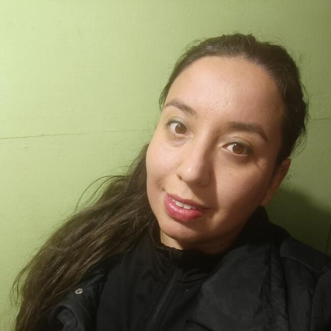 Babysitter in Viña del Mar: Katterine Fabiola