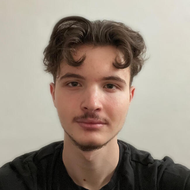 Babysitter in Nürnberg: Ardijan