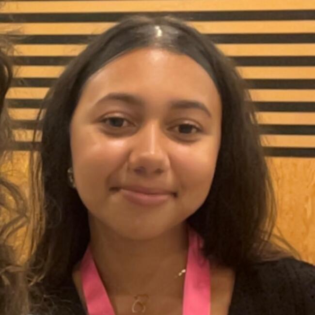 Babysitter in Coulommiers: Isaïa