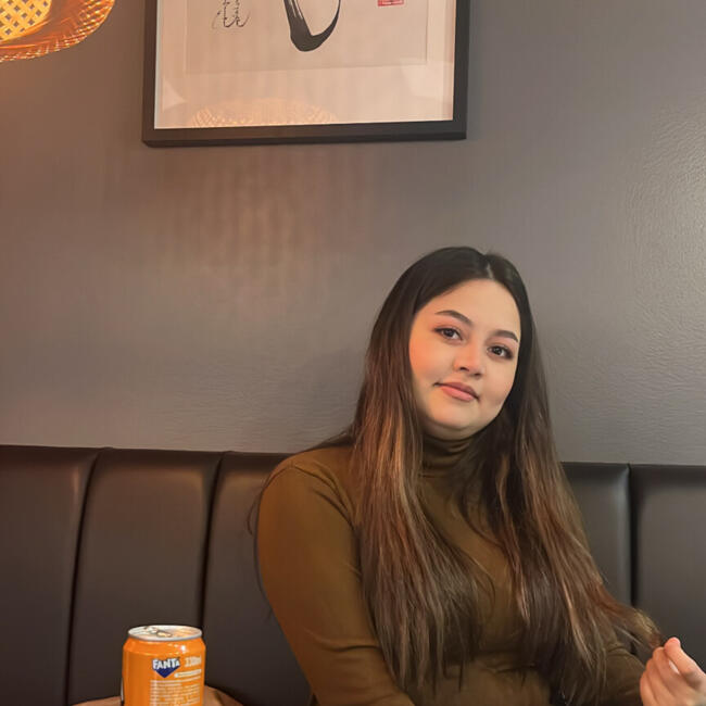 Babysitter in Norrahammar: Negin