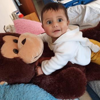 Babysitting job in Albacete: babysitting job Sebas